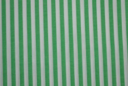 Cotton gingham stripes 6.5 mm 165-10 green