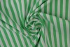 Cotton gingham stripes 6.5 mm 165-10 green