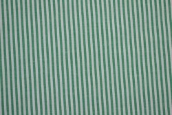 Cotton gingham stripes 2.5 mm 167-09 dark green
