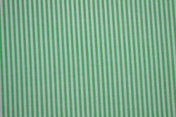Cotton gingham stripes 2.5 mm 167-10 green