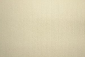 Felt 3mm 22 champagne