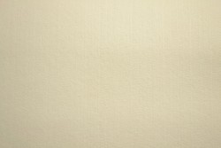 Felt 3mm 22 champagne