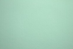 Felt 3mm 41 light mint
