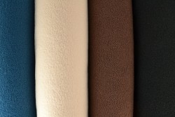 Color card teddy fur