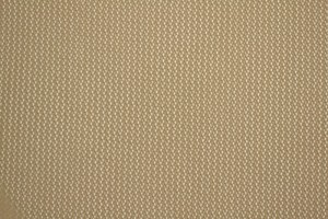 Mesh 02-35
