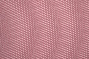 Mesh 02-51