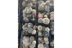 Stock faux fur fabrics 5.000 KG