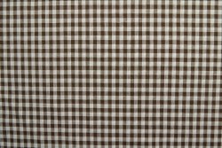 Cotton vichy checks 09-01
