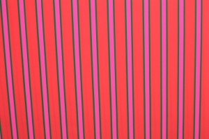 Lycra print 395-01