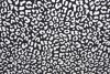 Lycra print 539-01