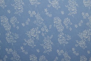 Denim chambray washed print 12-01