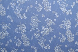Denim chambray washed print 12-02