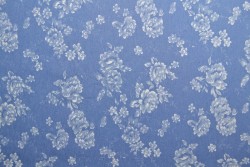 Denim chambray washed print 12-02