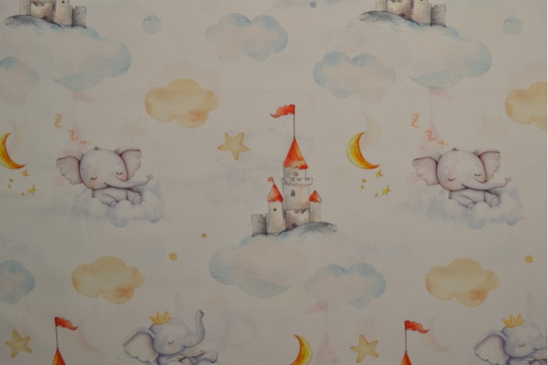 Cotton poplin print digital 79-4