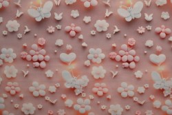 Cotton poplin print digital 81-1