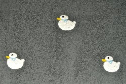 teddy towelling embroidered 05-17
