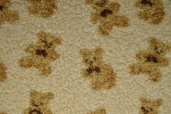 teddy fur print 01-3 teddy