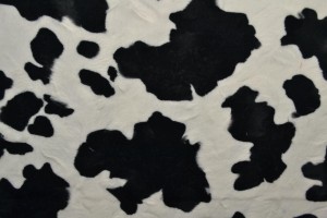 faux fur print 01-03