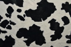 faux fur print 01-03