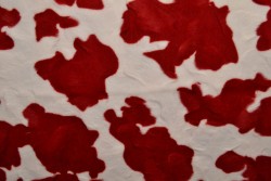 faux fur print 01-05