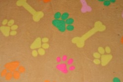 Coral fleece print 80-01