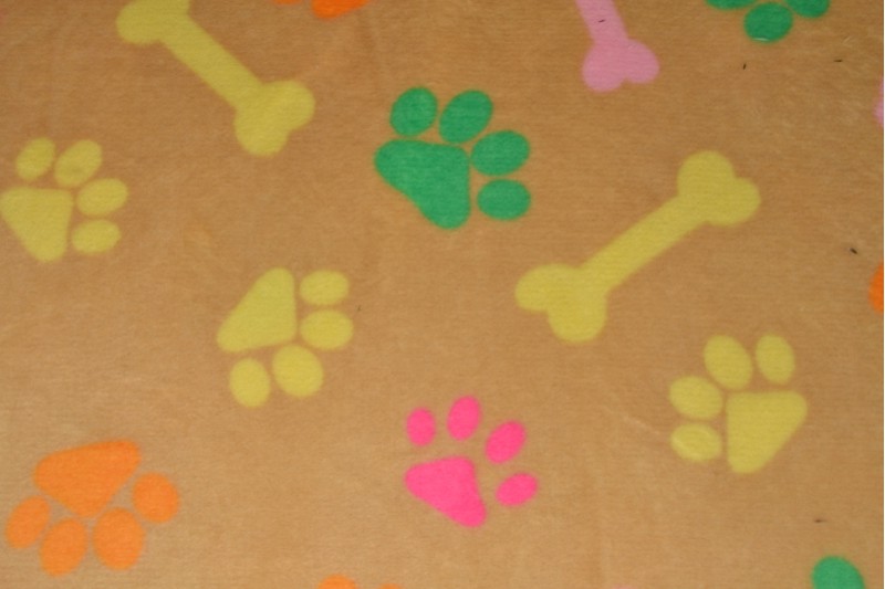 Coral fleece print 80-01