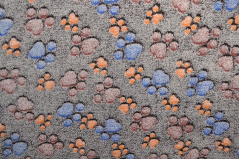 Coral fleece print 82-04
