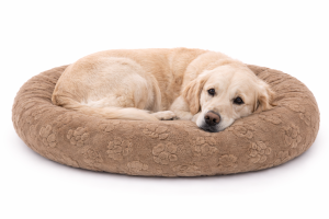 Fleece Dog Paws