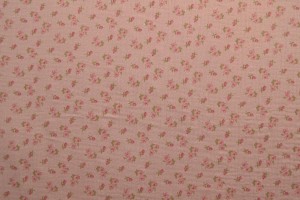 Muslin print 10-19