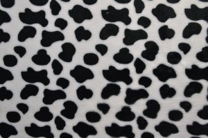 Coral fleece print 190-01