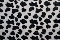 Coral fleece print 190-01
