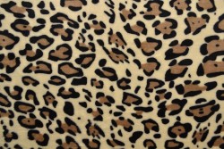 Coral fleece print 195-05