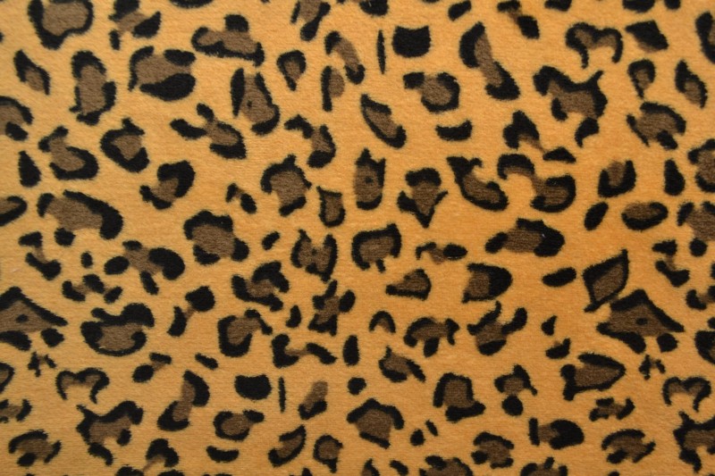 Coral fleece print 195-06