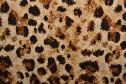 Viscose print 71169-05