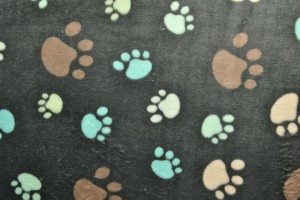 Coral fleece print 189-01