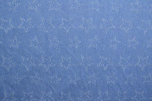 Denim fashion 03-01 stars