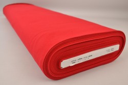 Canvas 01 red