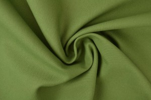 Canvas 31 moss green
