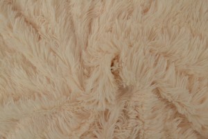Plush 22 champagne