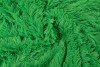 Plush 11 green