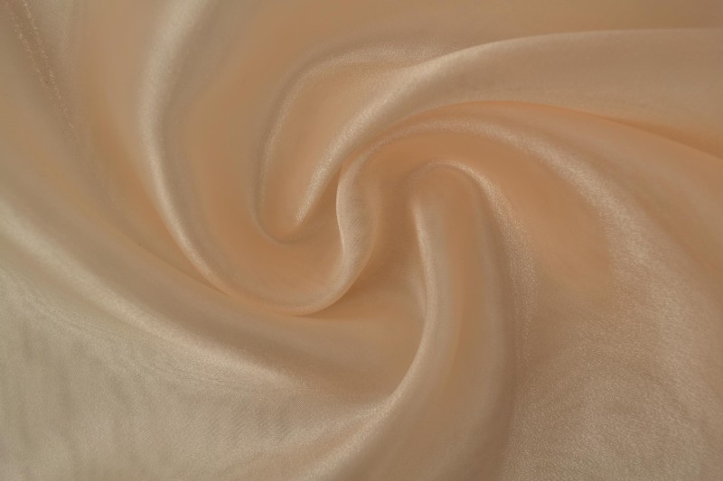 Organza 22 - champagne