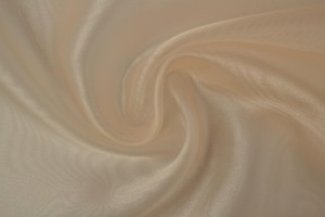 Organza 22 - champagne